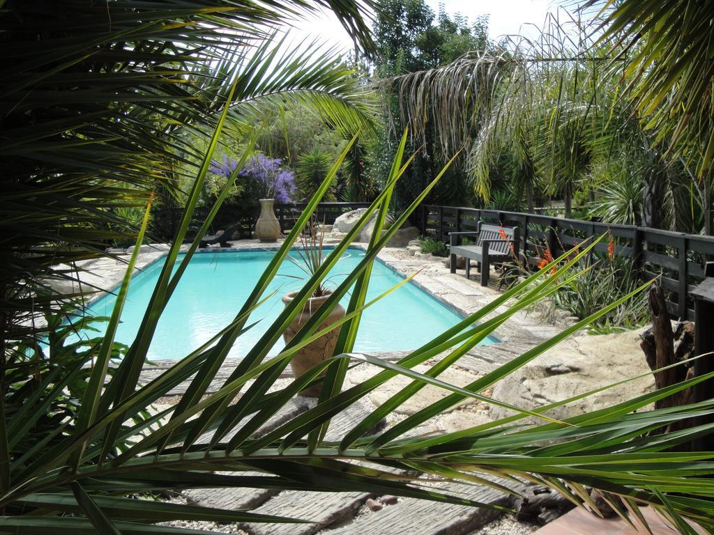 Pine Tree Lodge Midrand Dış mekan fotoğraf