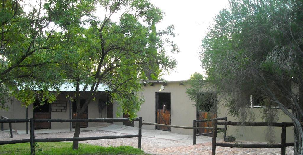 Pine Tree Lodge Midrand Dış mekan fotoğraf